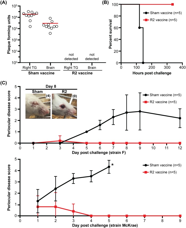 Fig 10