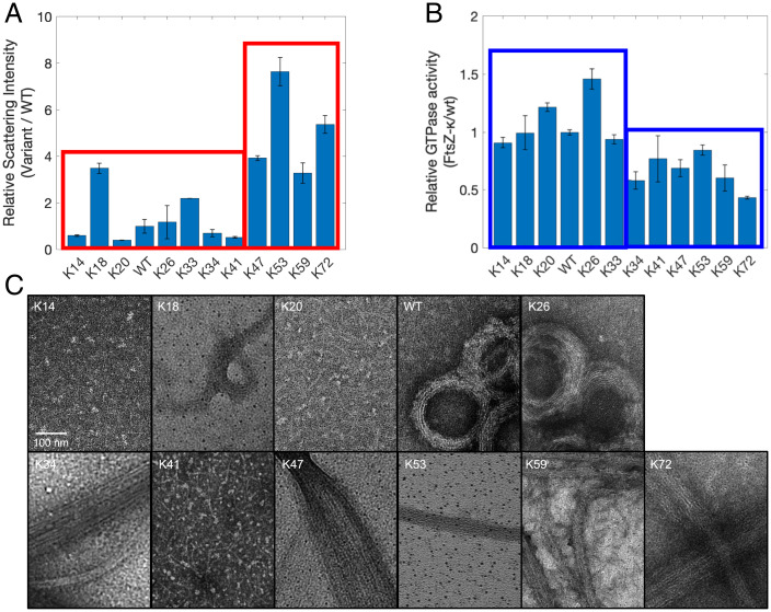 Fig. 7.