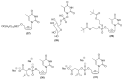 Figure 8