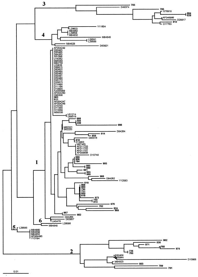 FIG. 3