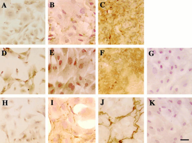 Figure 4  