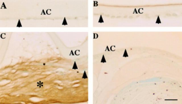 Figure 1  