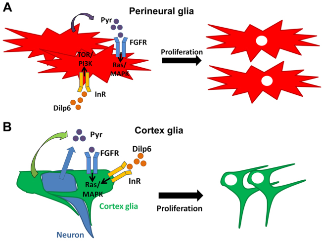 Fig. 8.