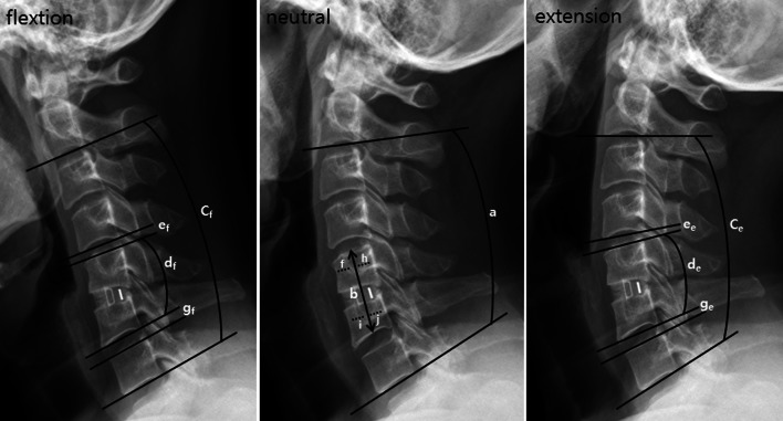 Fig. 1