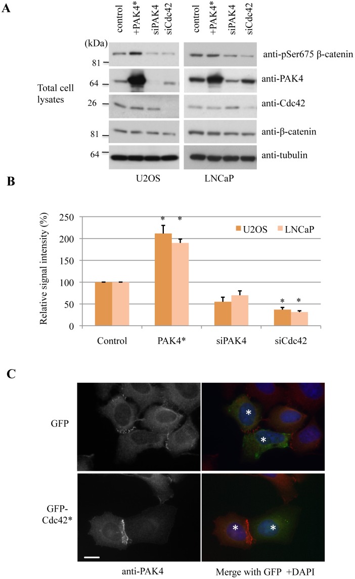 Fig 5