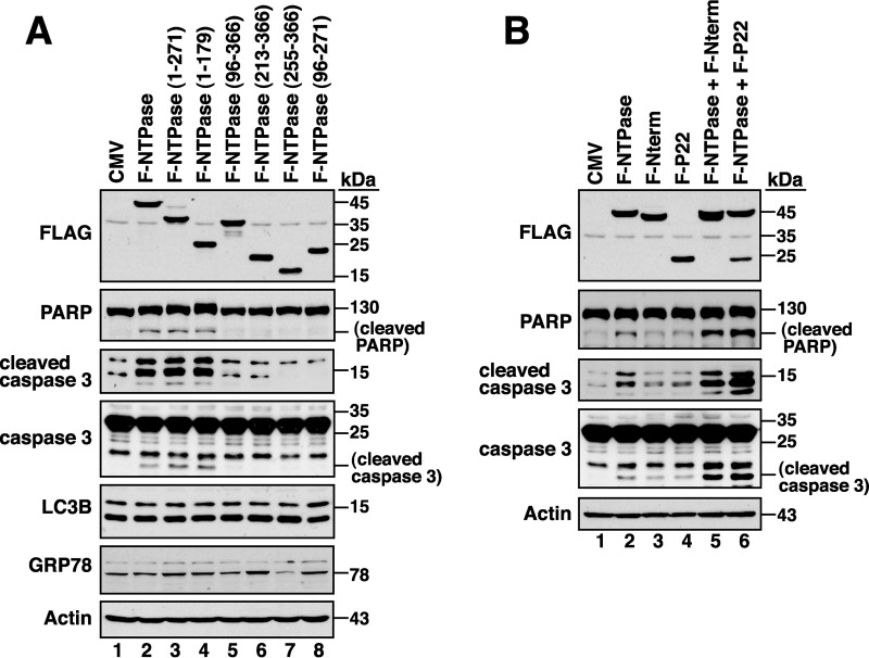 FIG 10