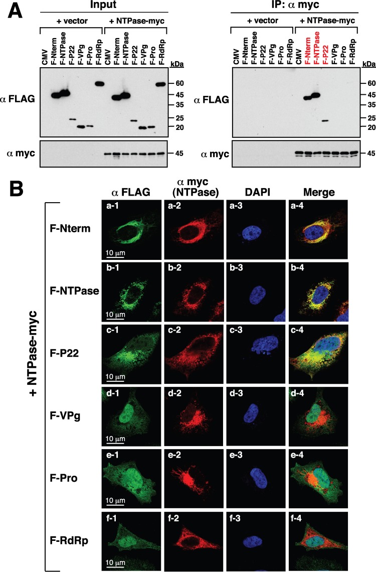 FIG 6