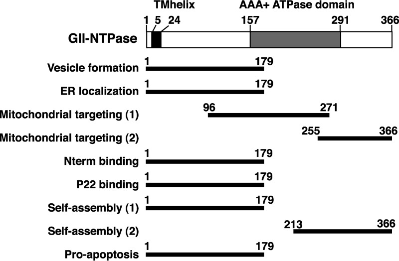 FIG 11