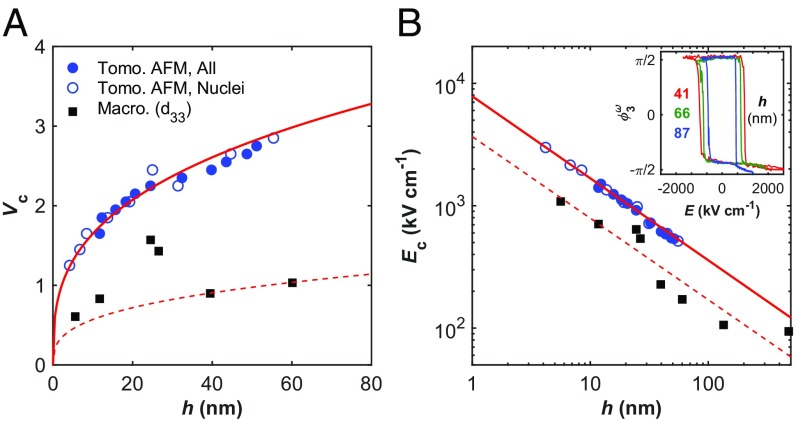 Fig. 5.