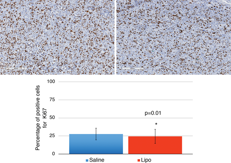 Figure 4: