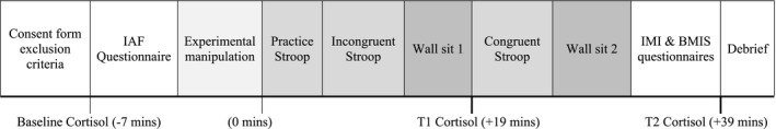 FIGURE 1