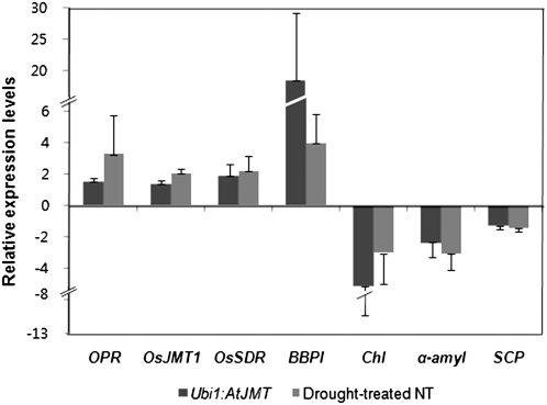 Figure 5.