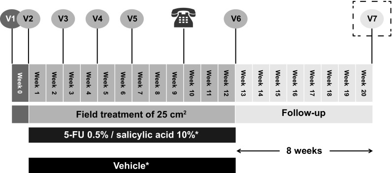 Fig. 1