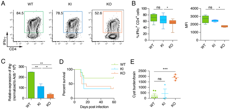 Figure 3: