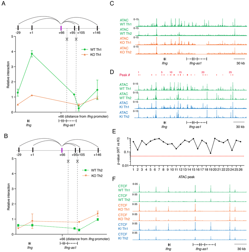 Figure 5: