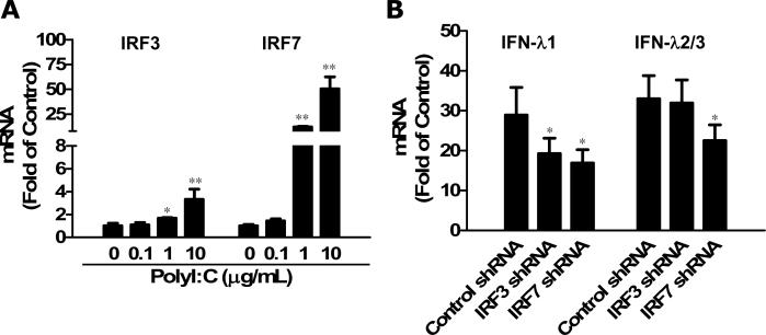 Fig 7