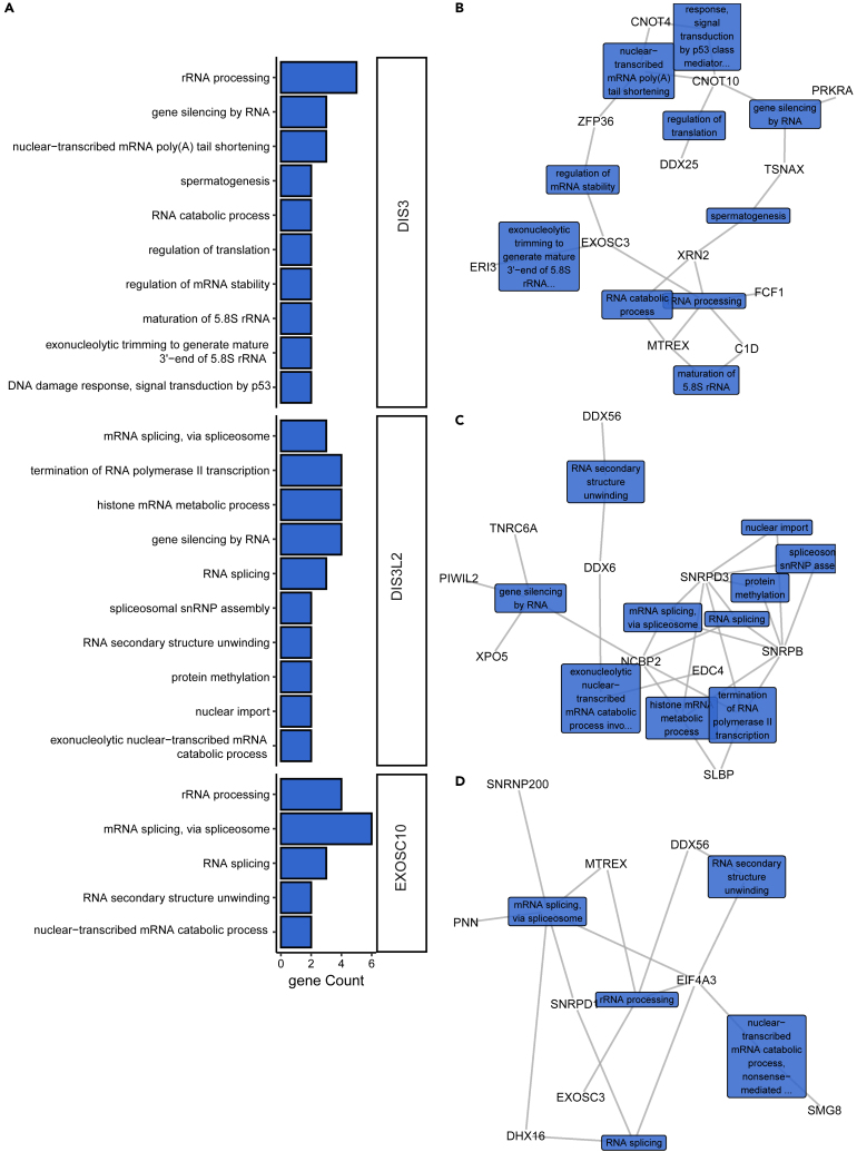 Figure 3