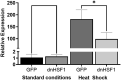 Supplemental Figure S2