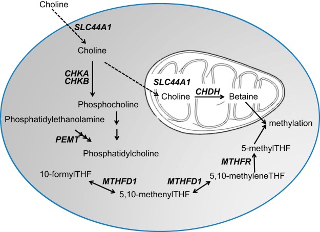 Figure 1.