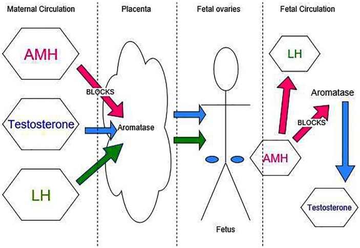 Figure 2.