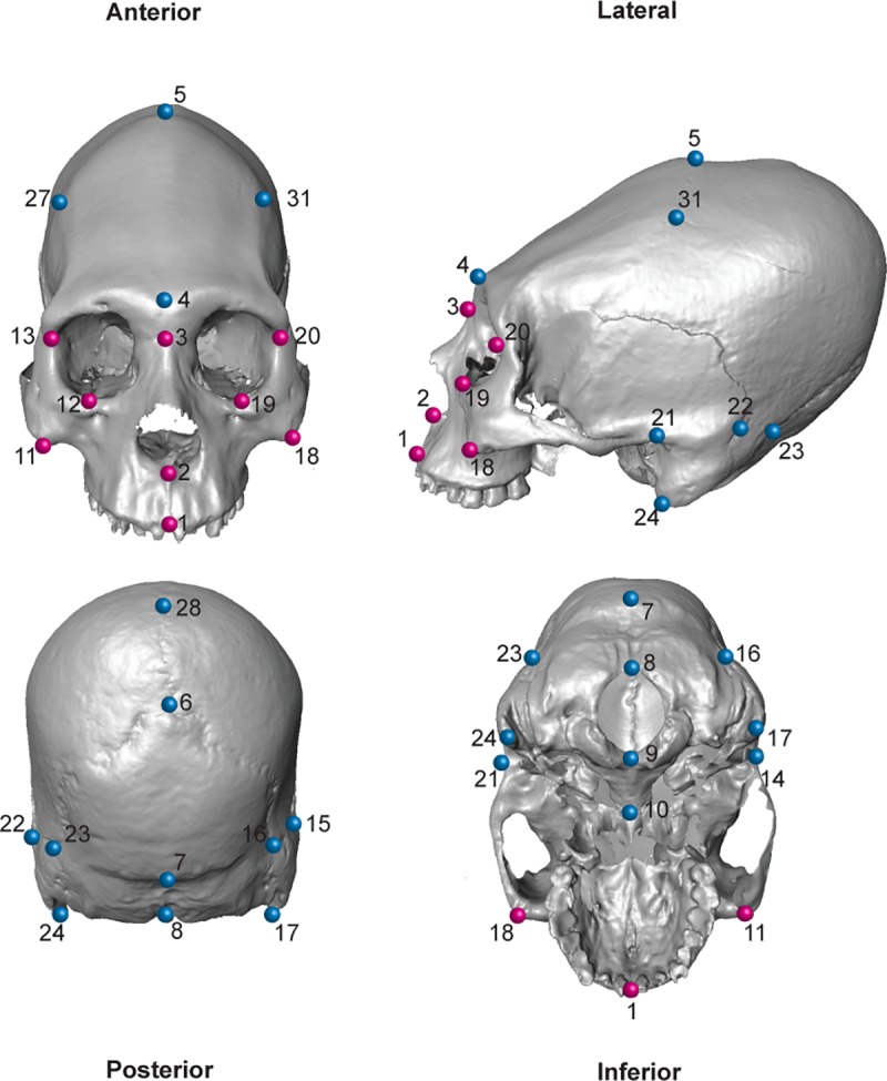 Fig 2