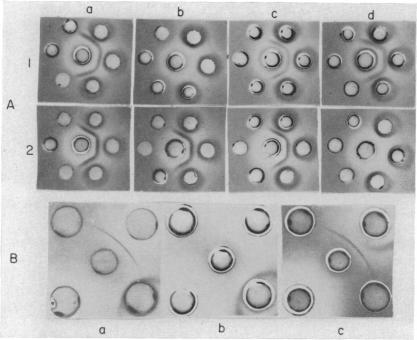 FIG. 3