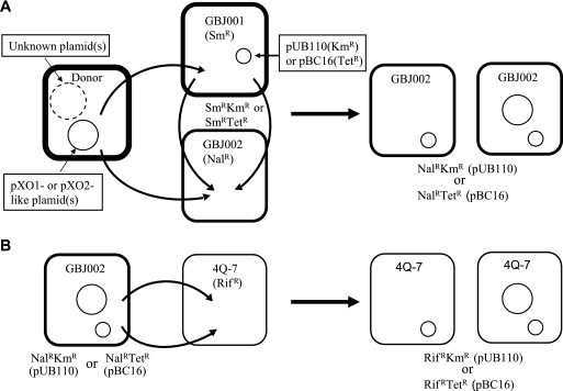 FIG. 2.