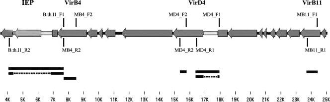 FIG. 1.