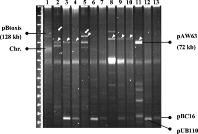 FIG. 5.