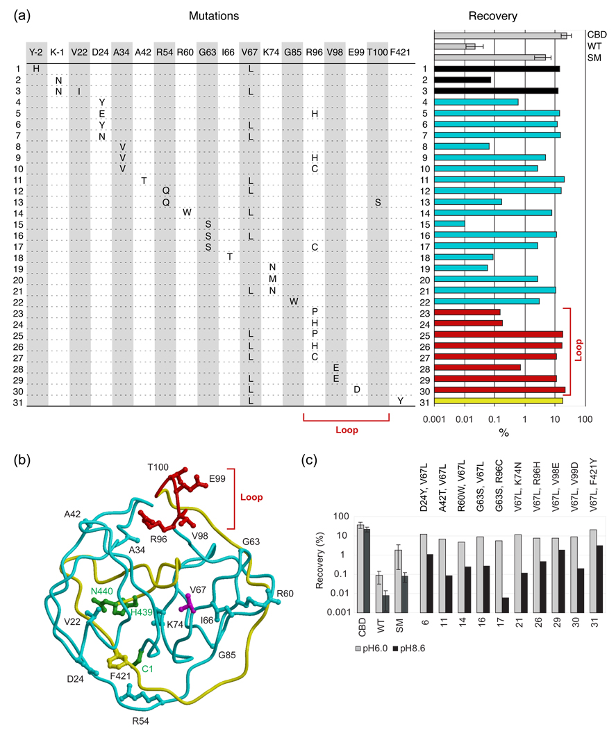 Selection and structure of hyperactive inteins: peripheral changes ...