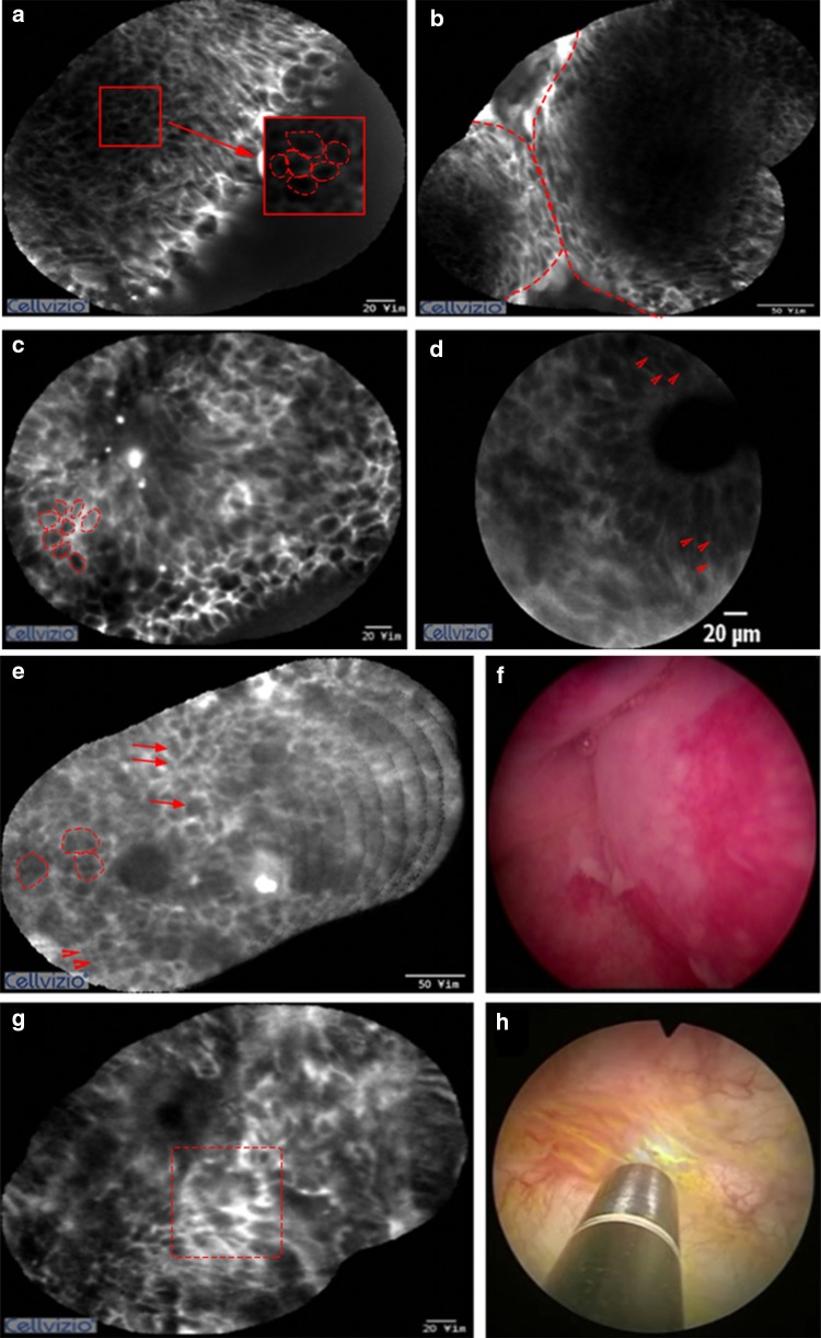 Fig. 2