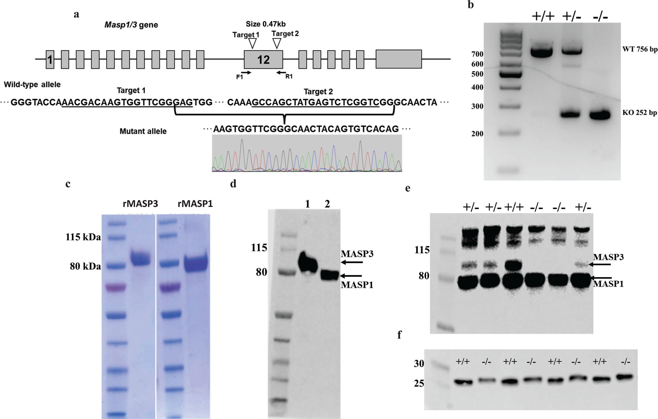 Fig1: