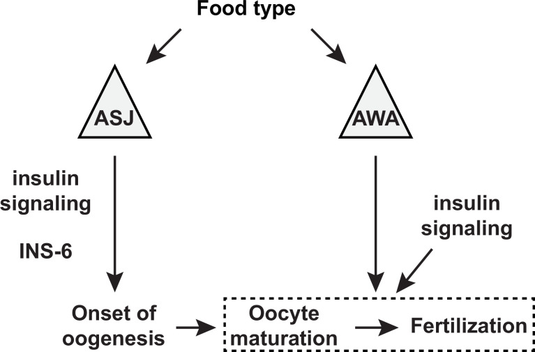 Figure 9.