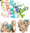 Fig. 8.