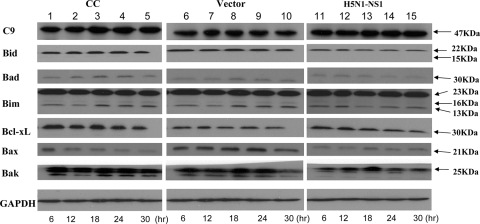 FIG. 6.