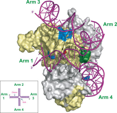 Figure 7.