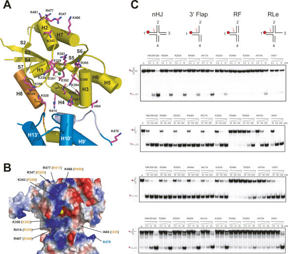 Figure 3.