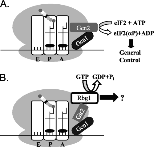 FIG. 8.