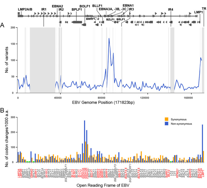 FIG 1