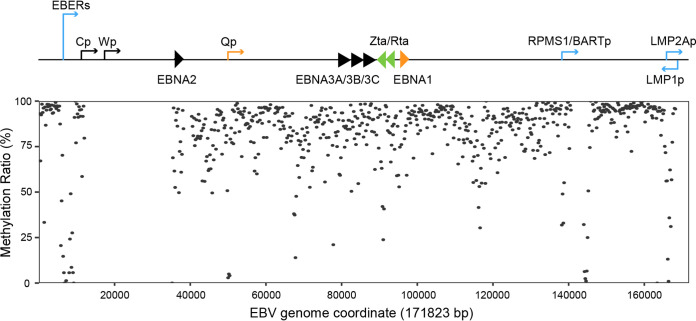 FIG 4