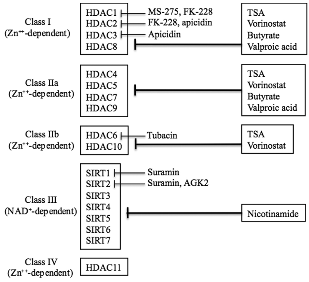 graphic file with name nihms147681t1.jpg