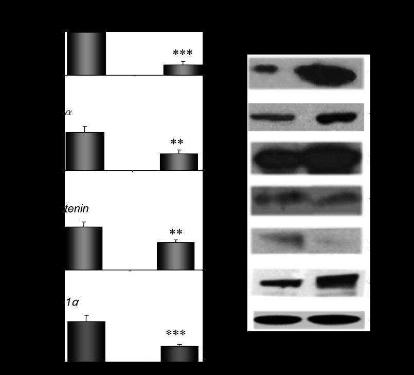 Fig. 9.