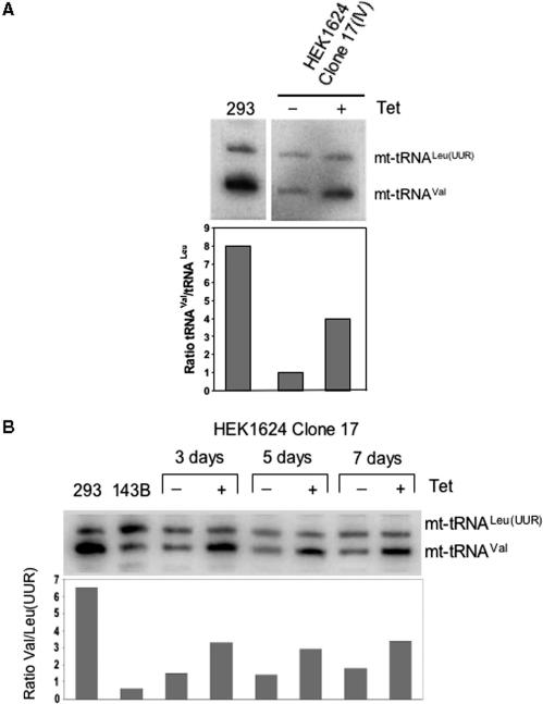 Figure 6.