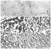 FIG 9