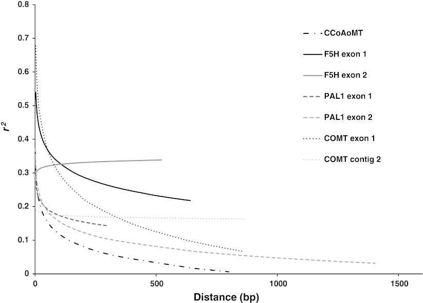 Fig. 6