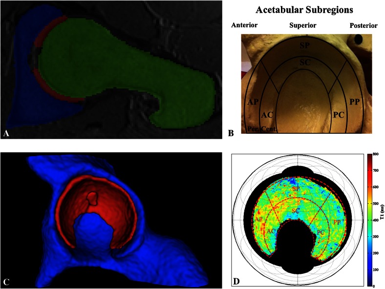 Fig. 1A–D