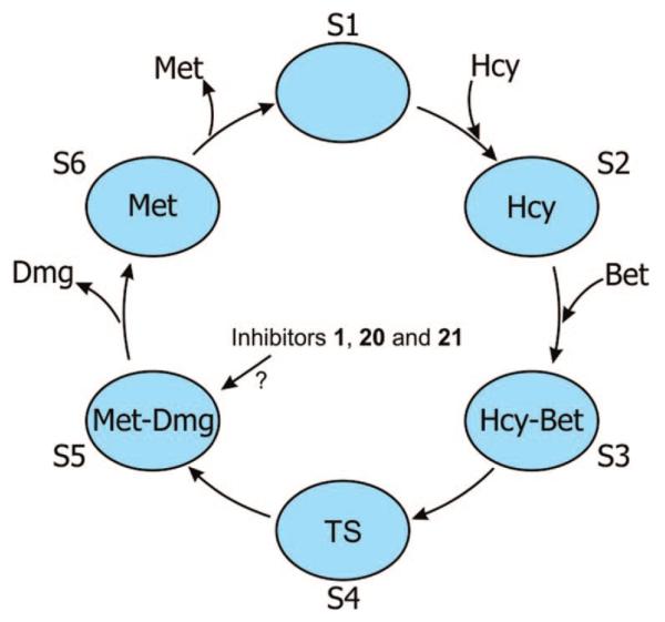 Figure 2