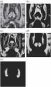 Fig. 8