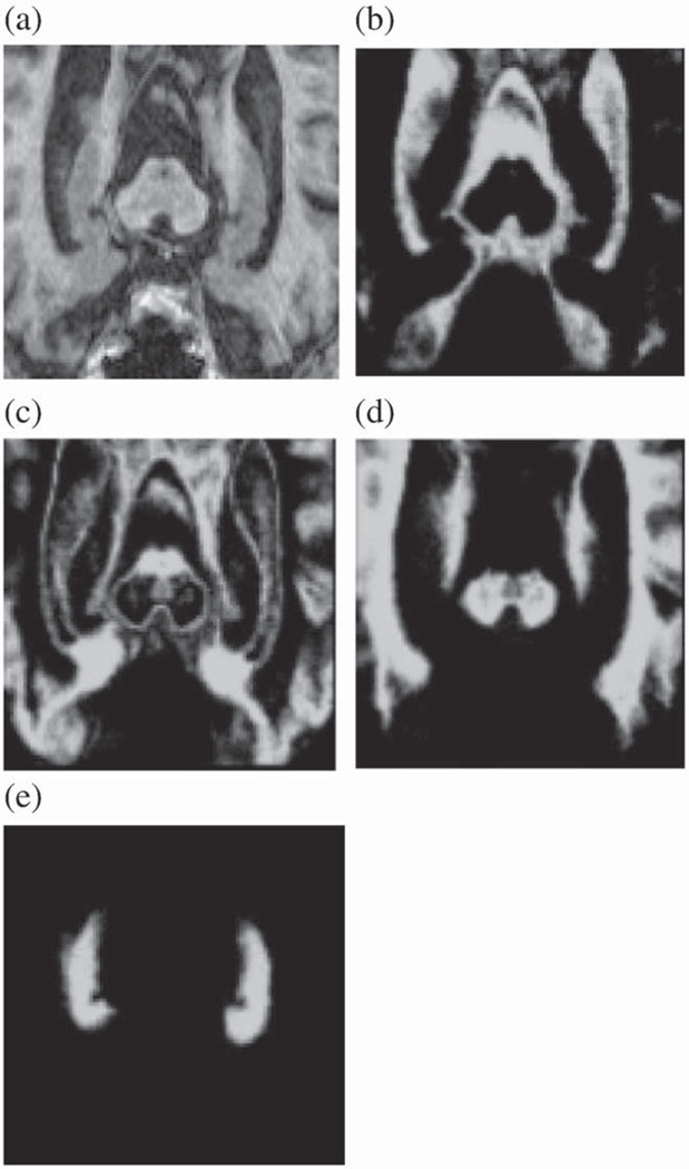 Fig. 8