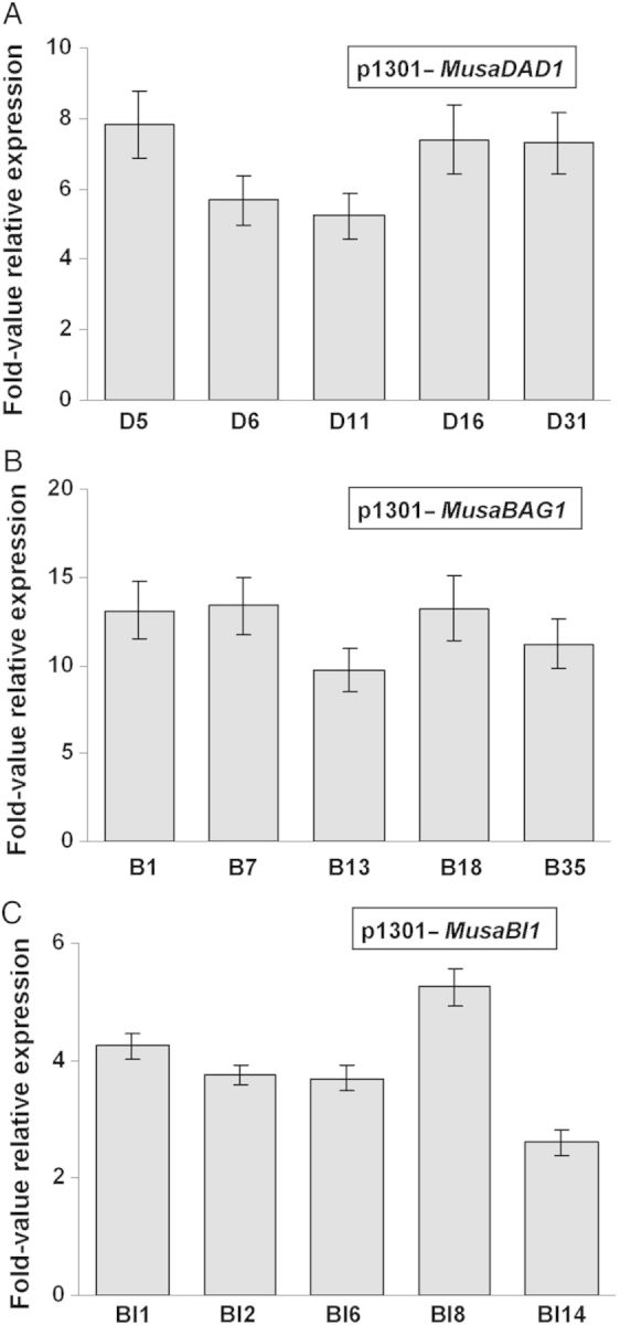Figure 6.